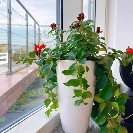 The Penthouse 아파트 오버우어젤